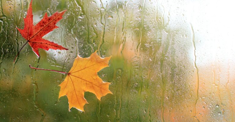 vochtproblemen-tijdens-een-natte-herfst